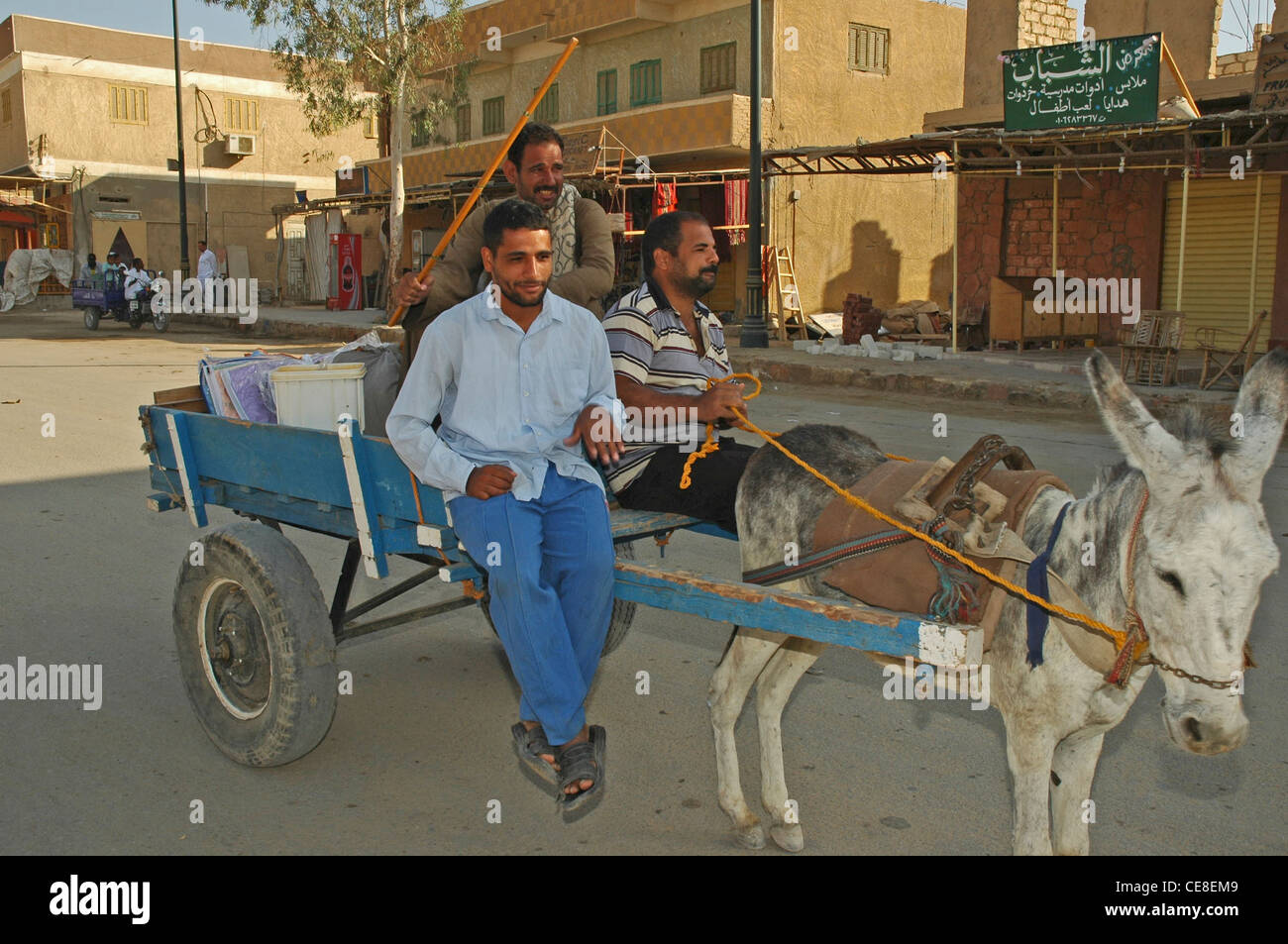 NORTH AFRICA, EGYPT, Siwa Oasis, Shali, main street, three Arab driving  donkey and cart Stock Photo - Alamy