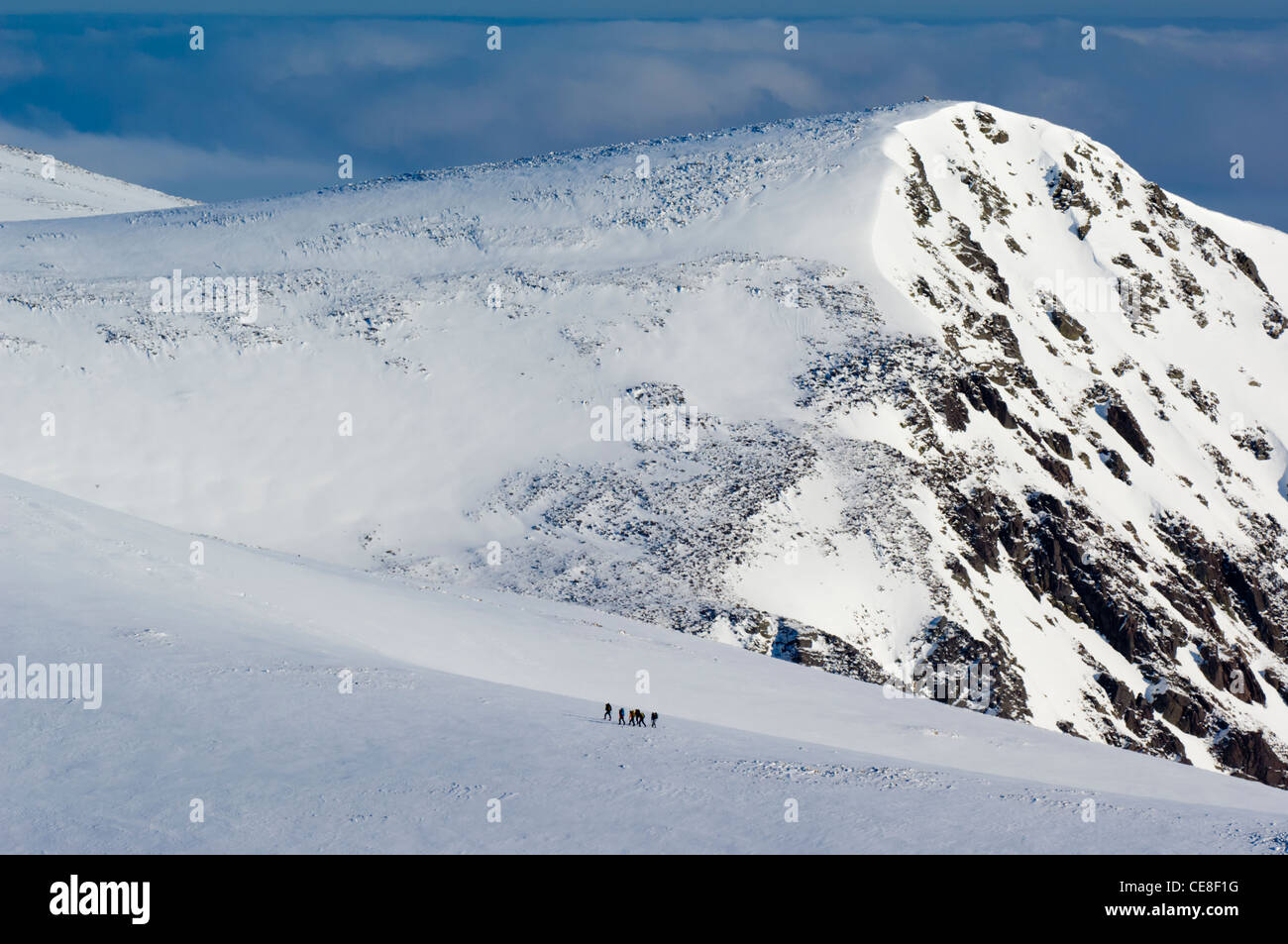 Group of hillwalkers crossing the Cairngorm plateau, beneath Stob Coire Etchachan (1082 metres). Stock Photo