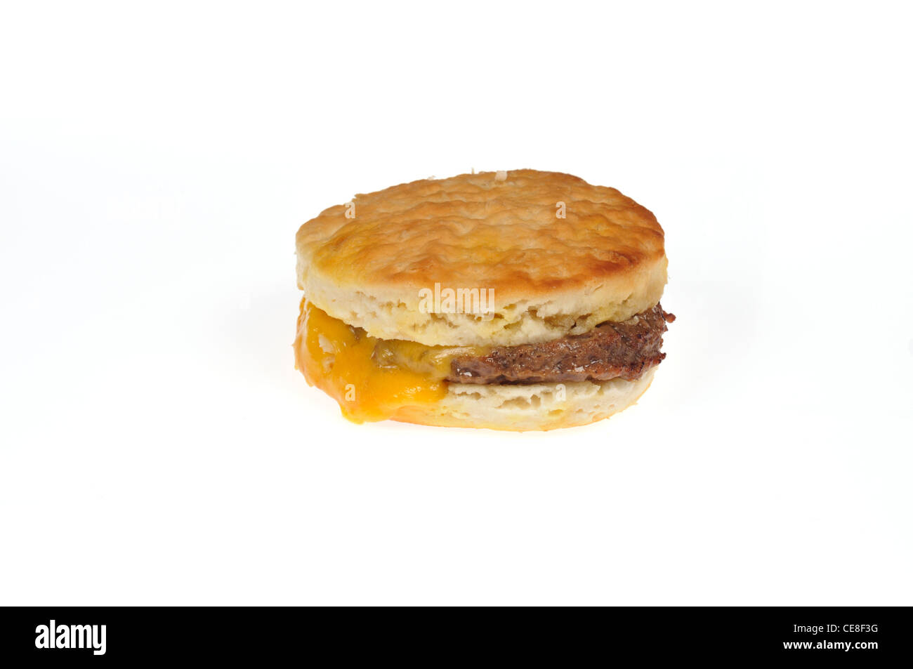 Cooked sausage and melted cheese breakfast biscuit sandwich on white background cut out. Stock Photo