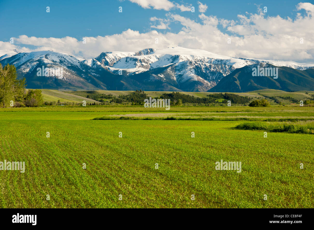 Montana’s Beartooth Mountains are seen in the distance from the Stillwater River valley. Stock Photo