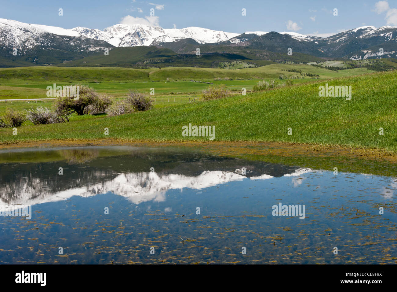 Montana’s Beartooth Mountains are reflected in a small pond. Stock Photo