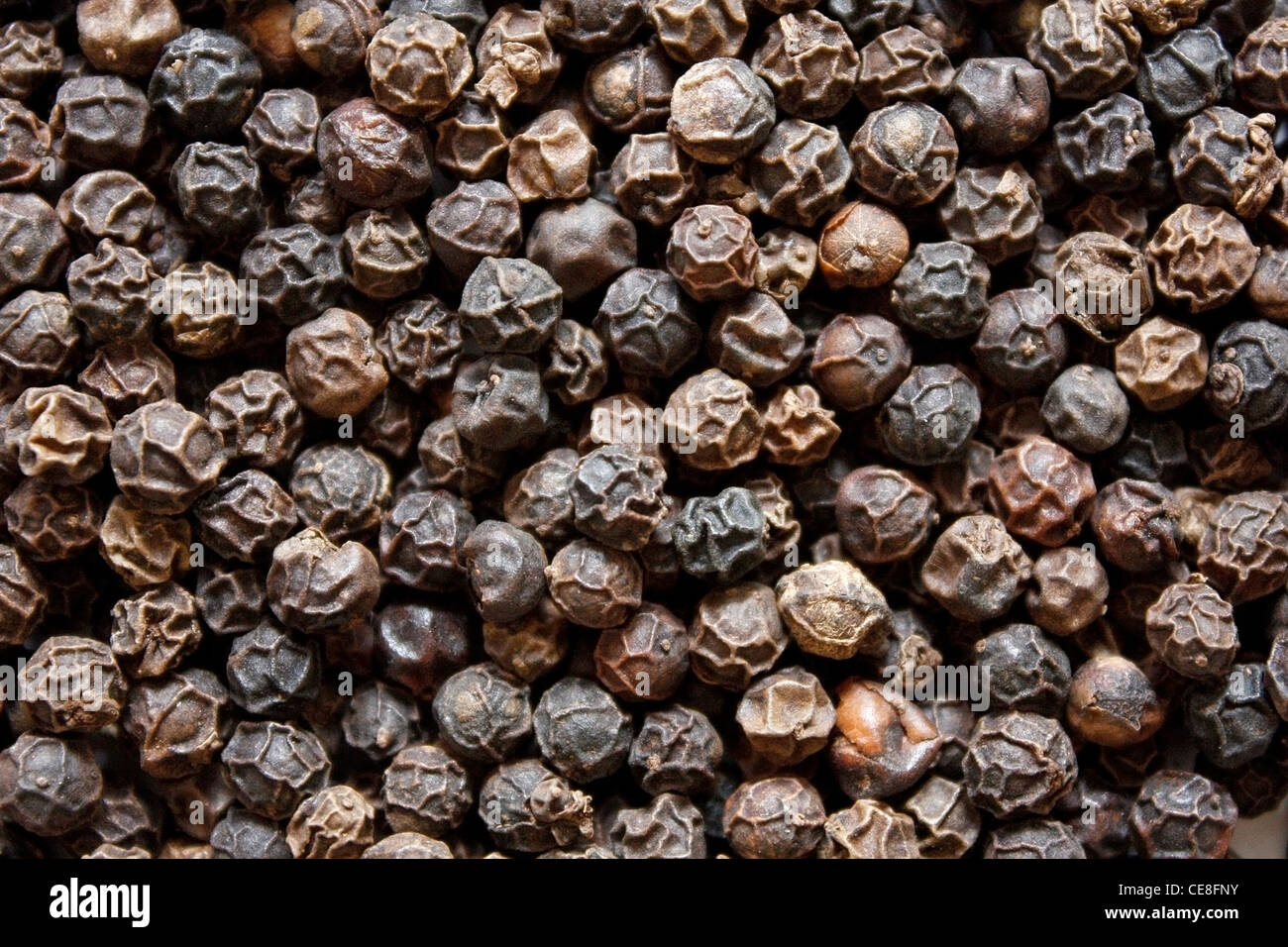 Black pepper zoomed in on Stock Photo