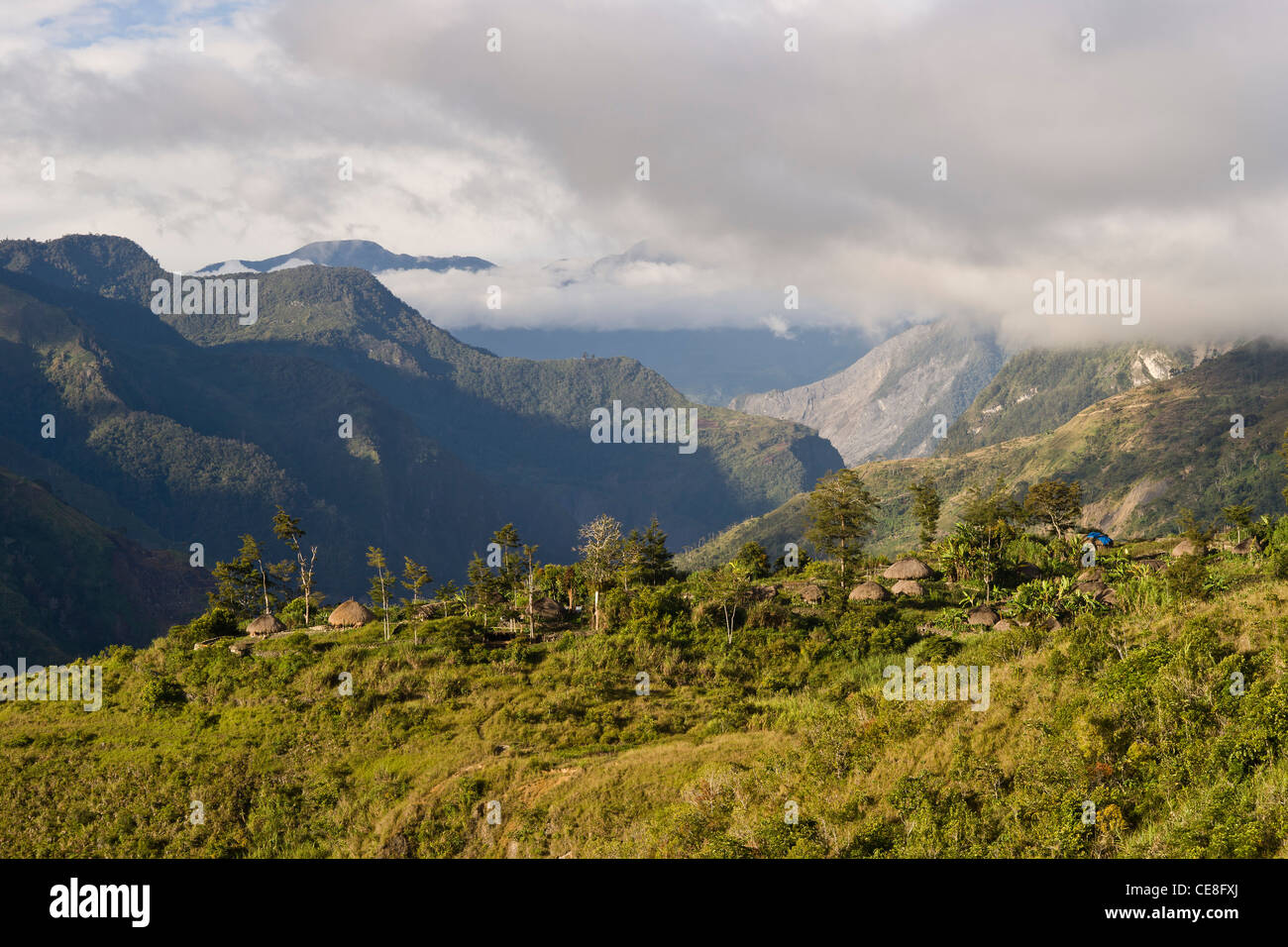 Traditional village of Dani tribe in early morning light in Baliem valley, West Papua, Indonesia Stock Photo