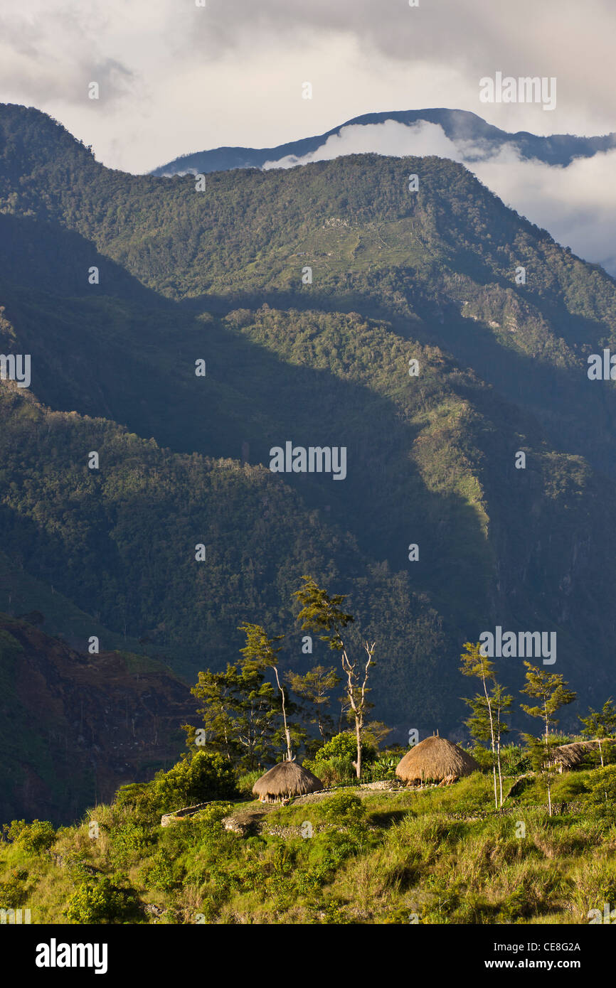 Traditional village of Dani tribe in early morning light in Baliem valley, West Papua, Indonesia Stock Photo