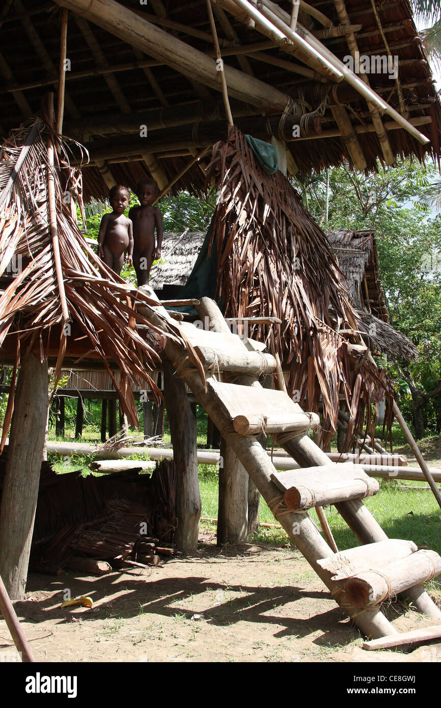 Traditional Sepik Stilt House in a Remote Papua New Guinea Village Stock Photo