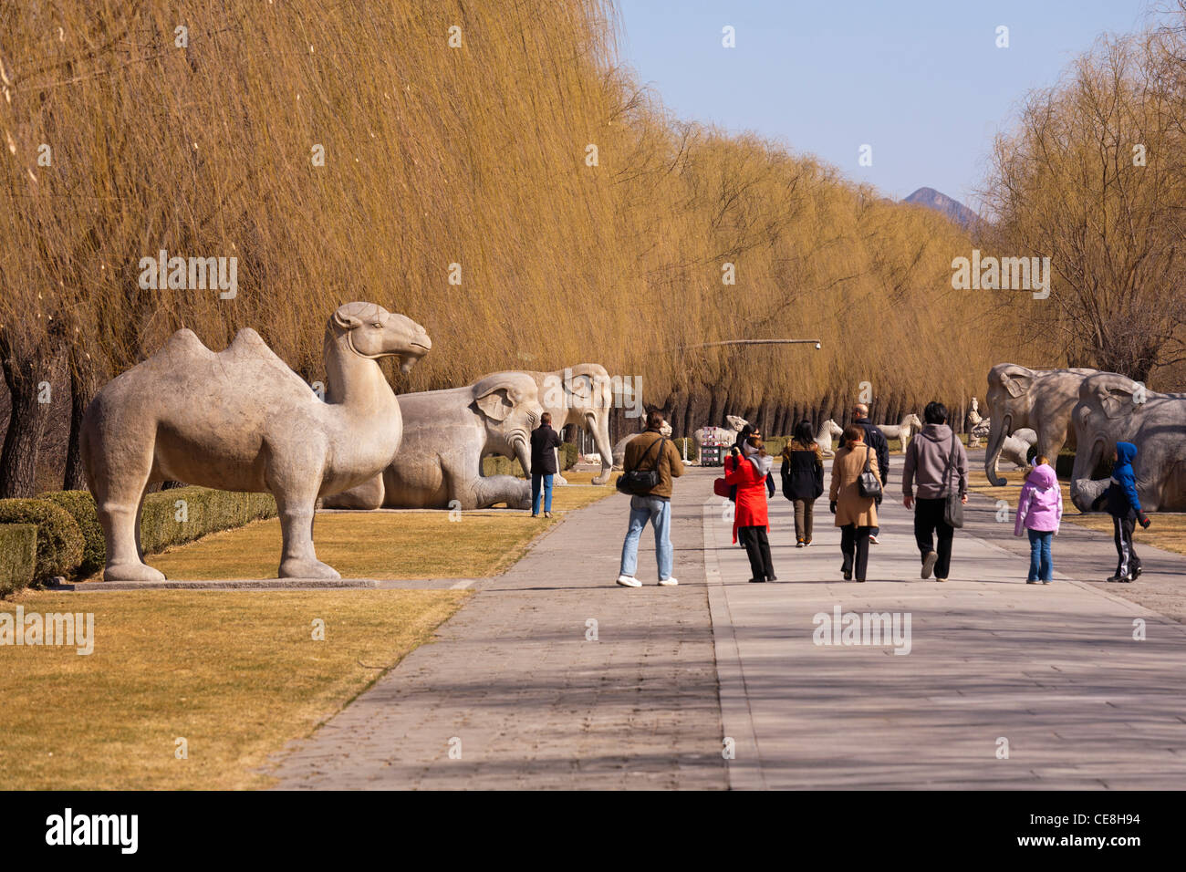 Sculptures on the Sacred or Spirit Way leading to the Ming Tombs outside Beijing, China. Stock Photo