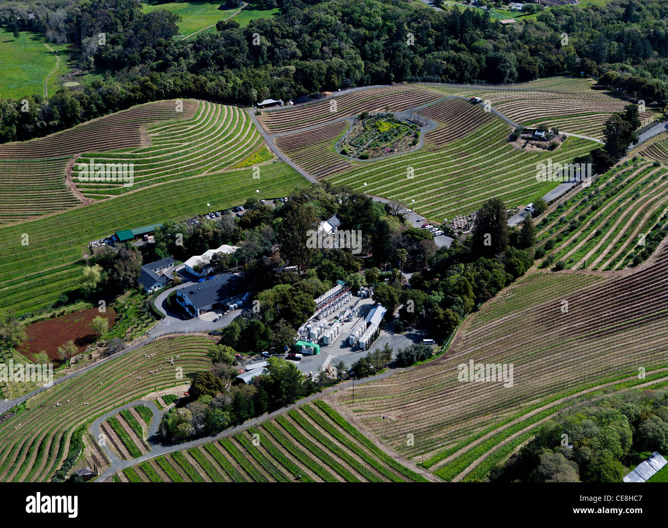 aerial photograph vineyards Benziger winery Sonoma Mountain Sonoma ...