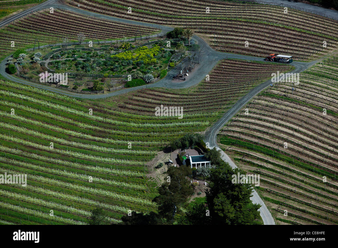 aerial photograph vineyards Benziger winery Sonoma Mountain Sonoma ...