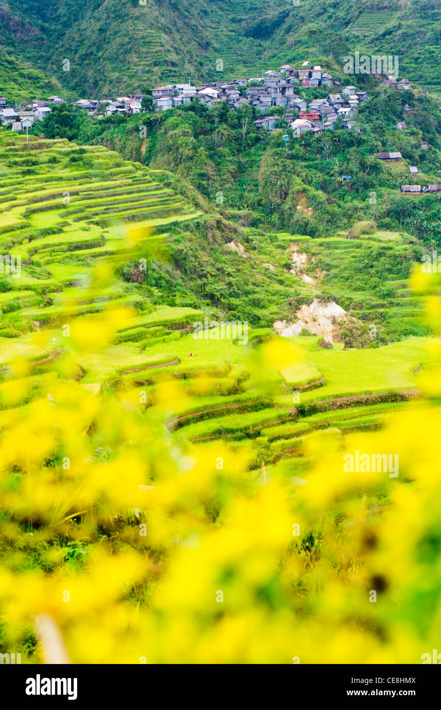 remote villages surrounds by rice terraces, philippines Stock Photo Alamy