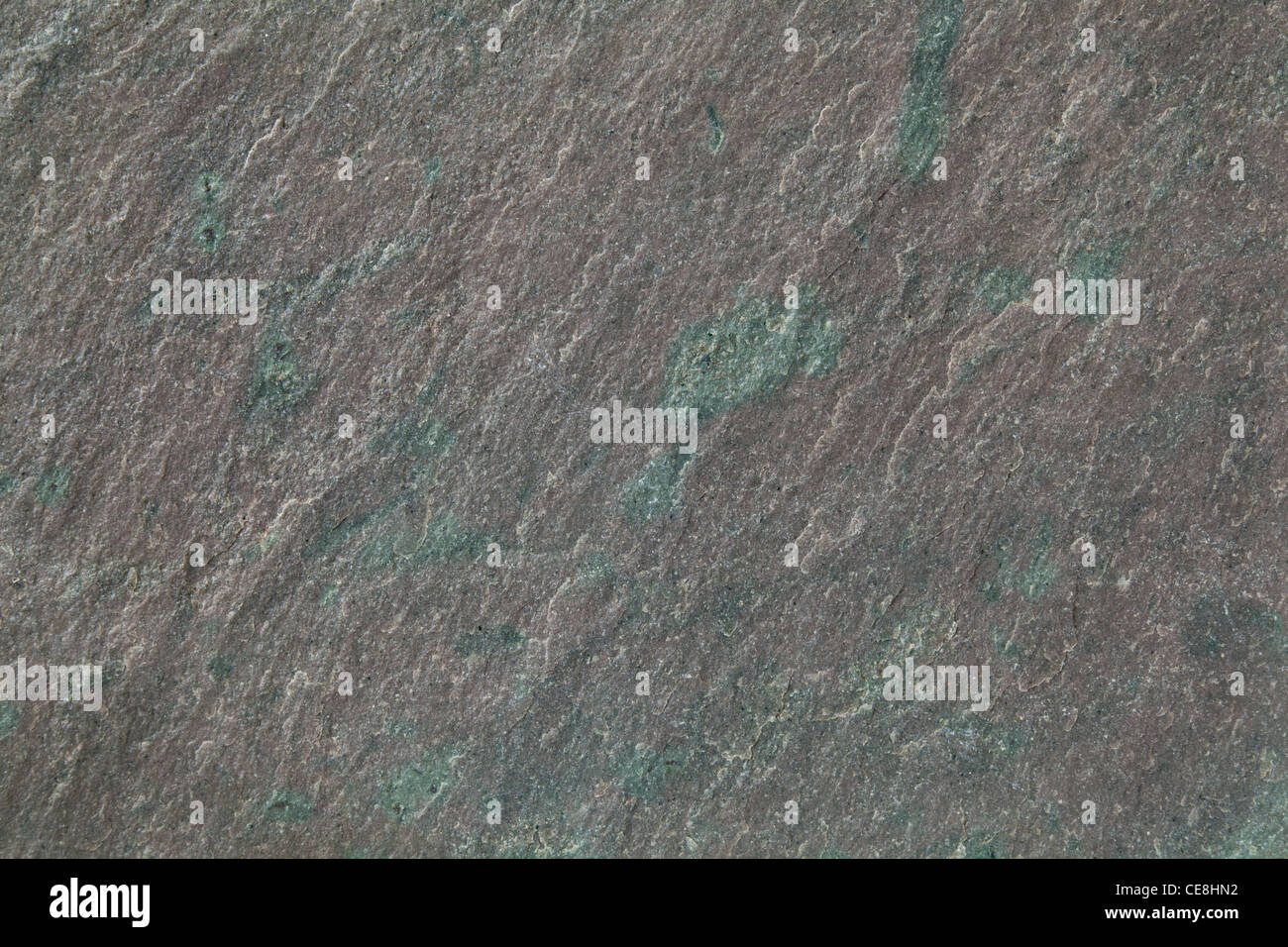flat, gray, fine-grained, foliated slate rock with purple tint and green spots and veins Stock Photo