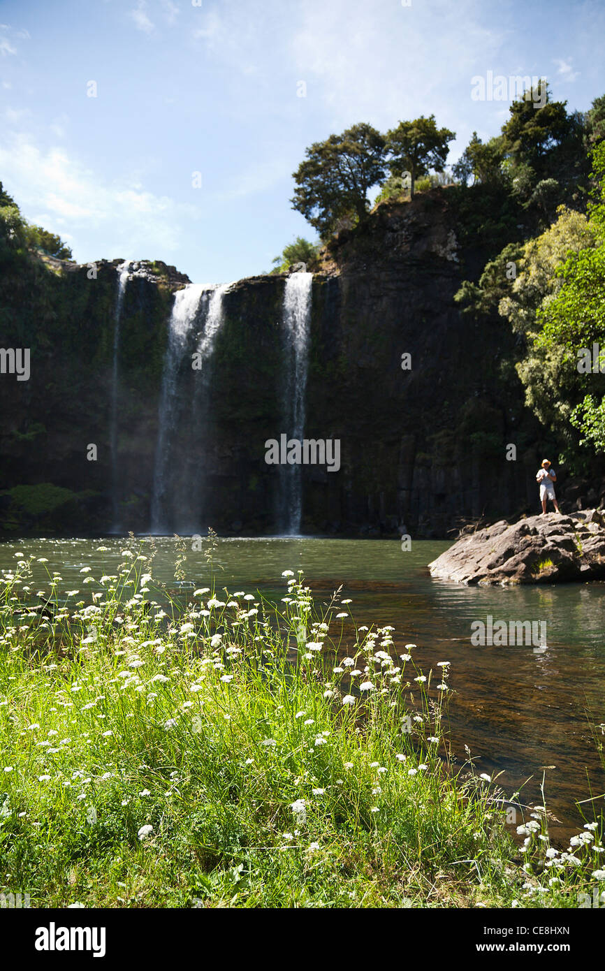 A person standing at the base of Whangarei Falls on the Hatea river, Northland, North Island, New Zealand. Stock Photo