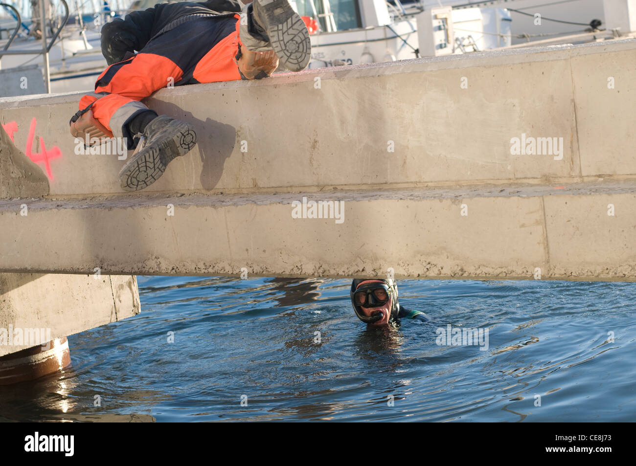 Diver,Diving in Harbor looking for tools dropped by workers during the major renovation of the Port center of Cap D'Age,France Stock Photo
