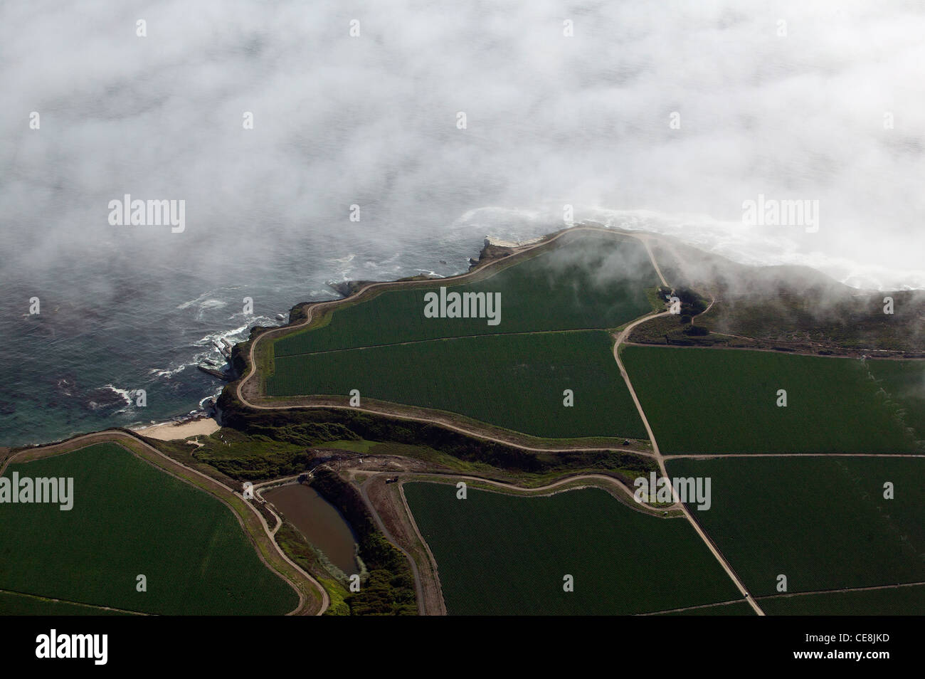 aerial photograph farming coastal Santa Cruz county, California Stock