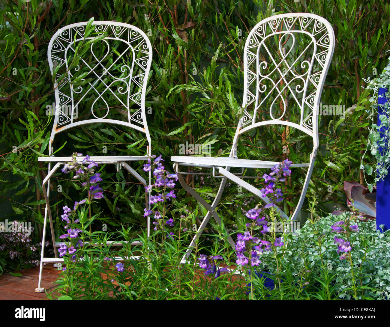Two decorative chairs in the corner of a secluded garden Stock Photo