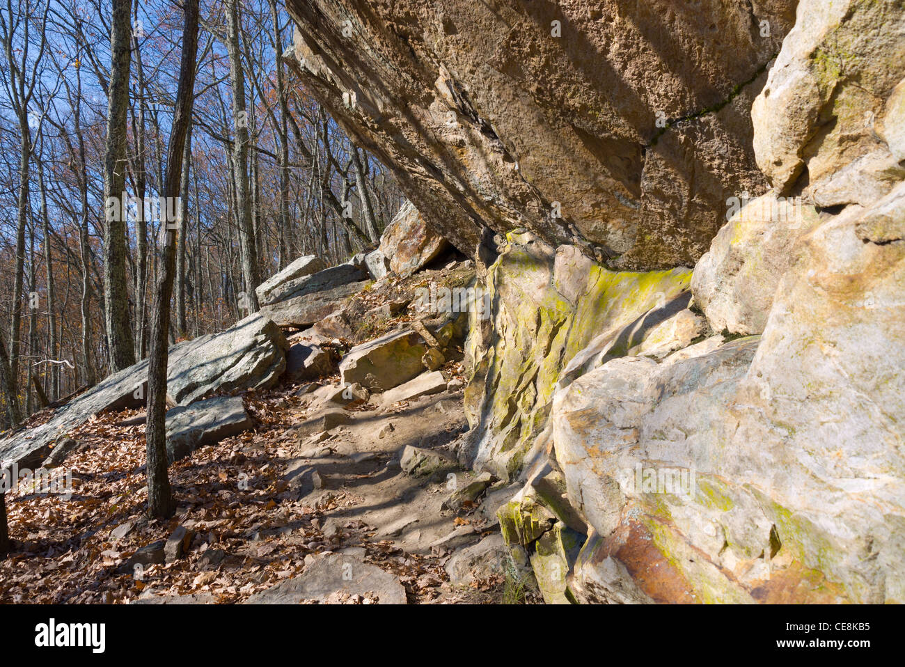 Hiking trail near the top of House Mountain, Corryton, Tennessee Stock Photo