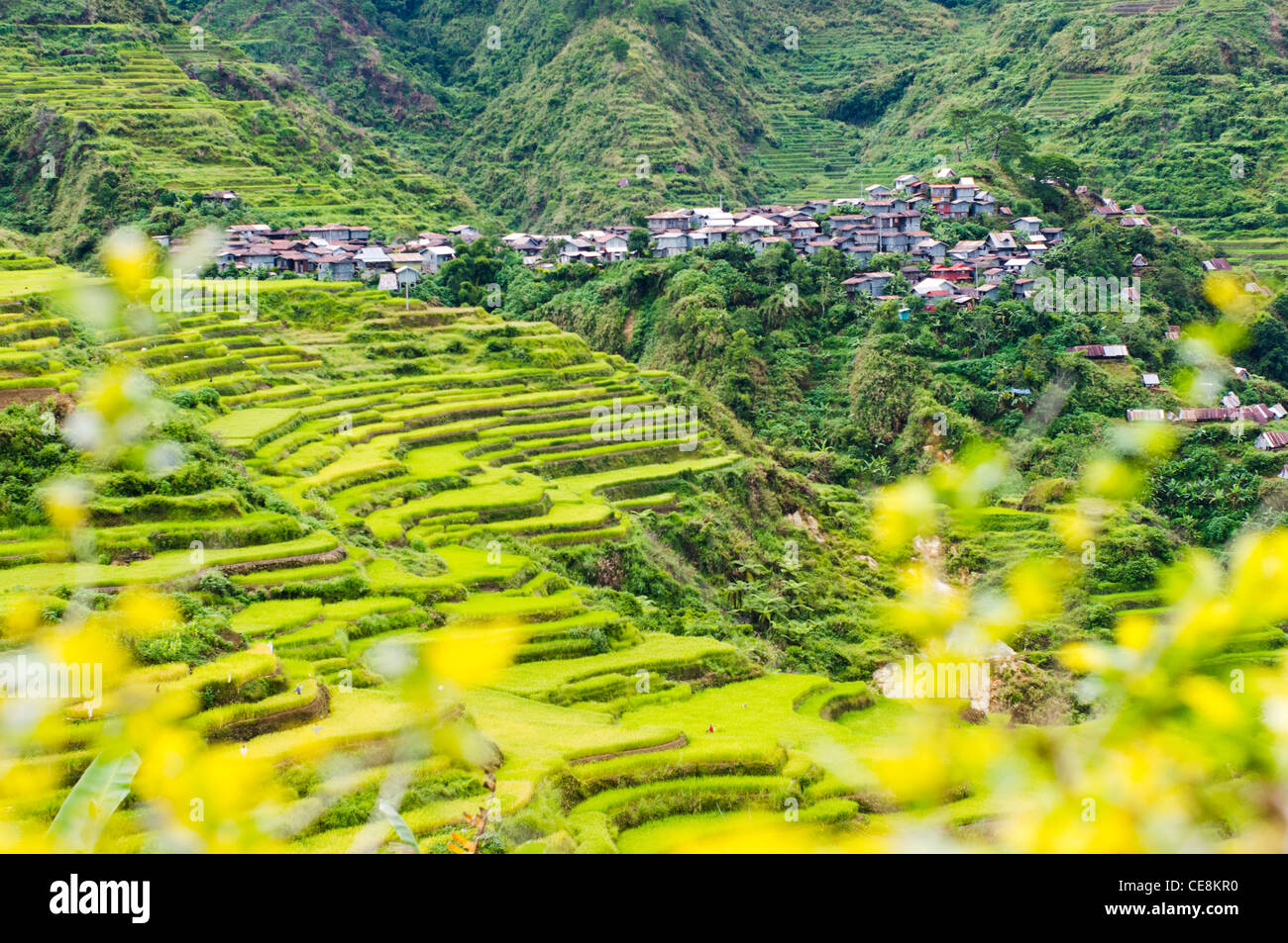 remote villages surrounds by rice terraces, philippines. Stock Photo