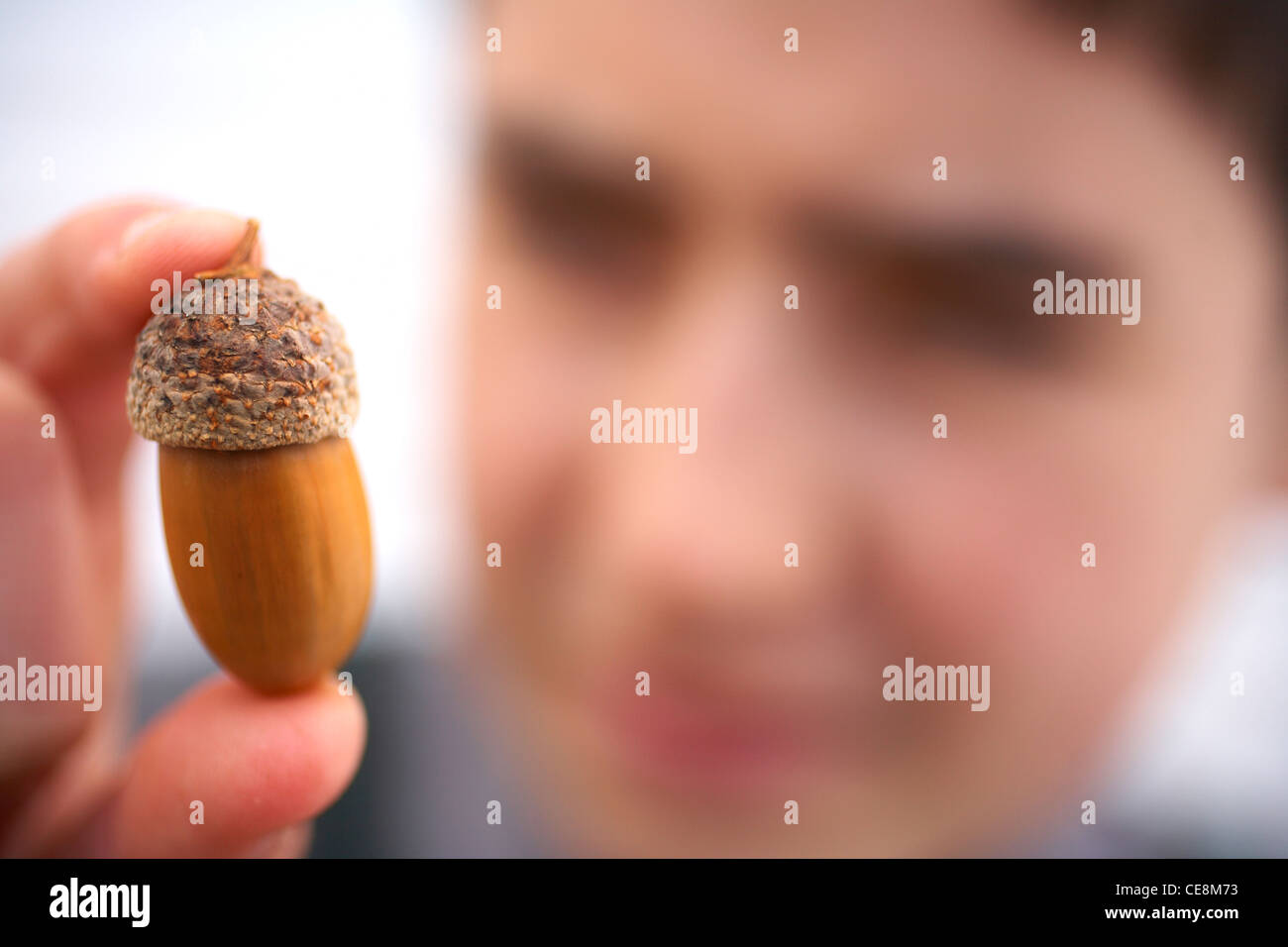Boy looking at acorn Stock Photo