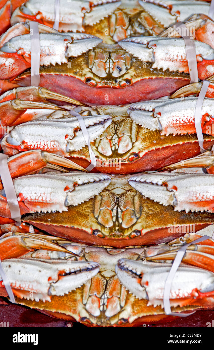 Dungeness crab for sale on Fisherman's Wharf, San Francisco, California