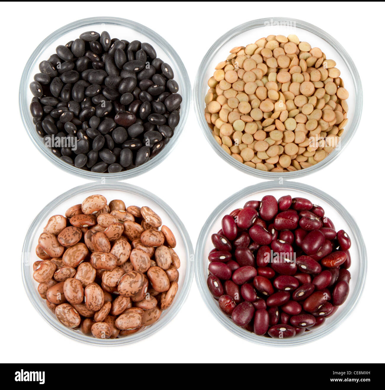 black beans, red beans, pinto beans and lentils photographed in round Stock Photo - Alamy black beans, red beans, pinto beans and lentils photographed in round Stock Photo - Alamy