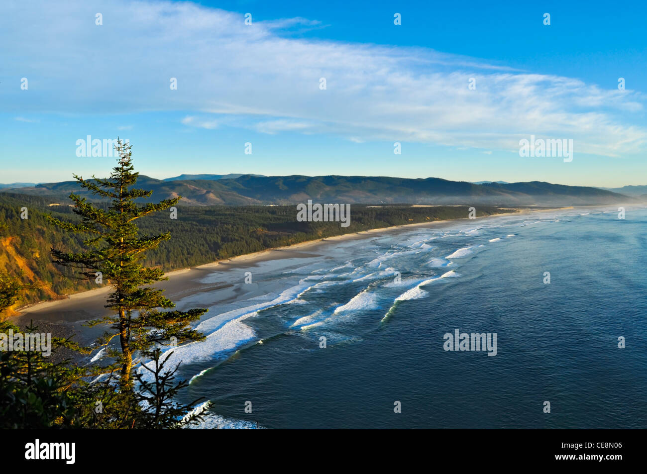 Cape Lookout on the Oregon Coast Stock Photo