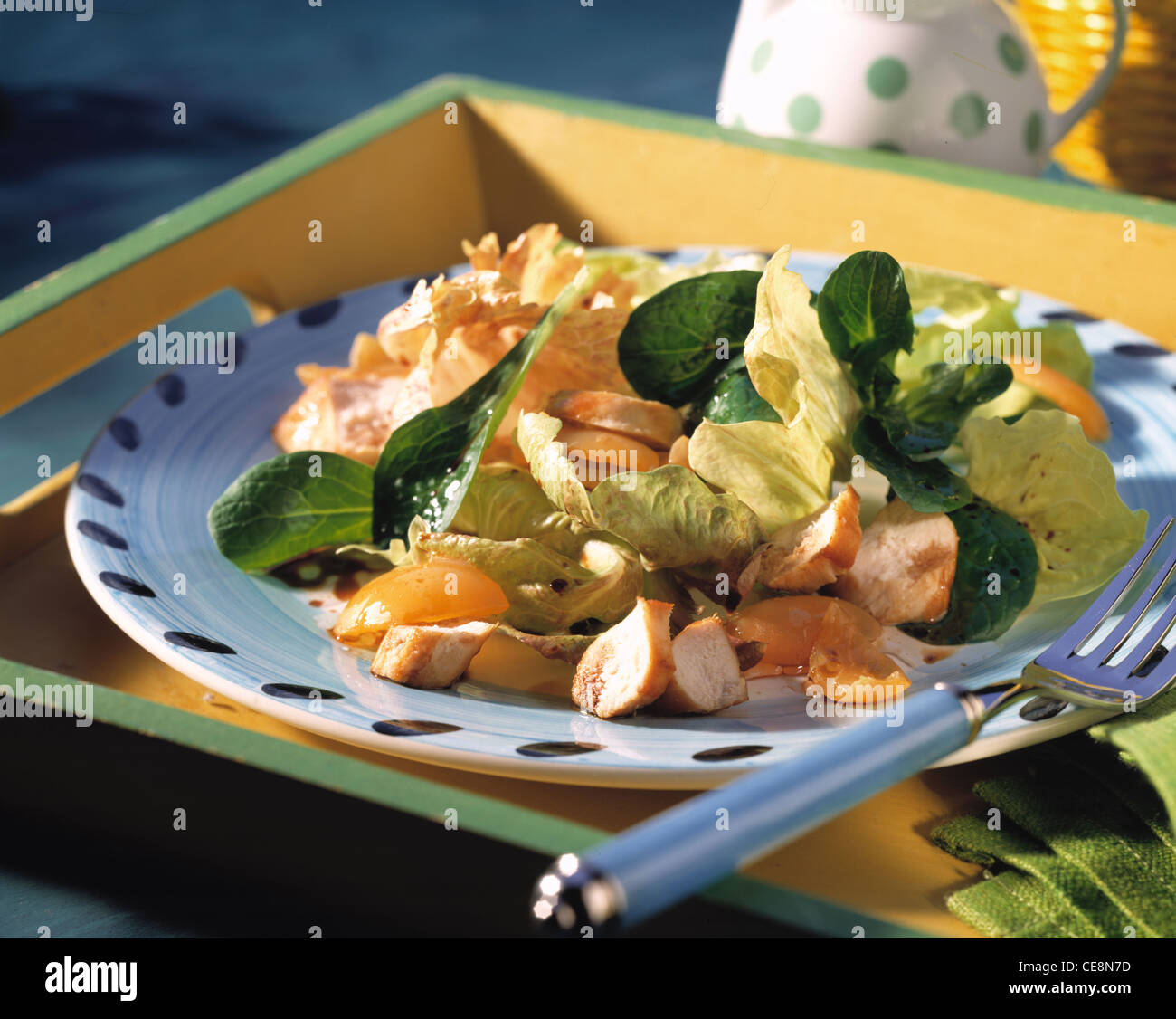 Rabbit filet with salad Stock Photo - Alamy