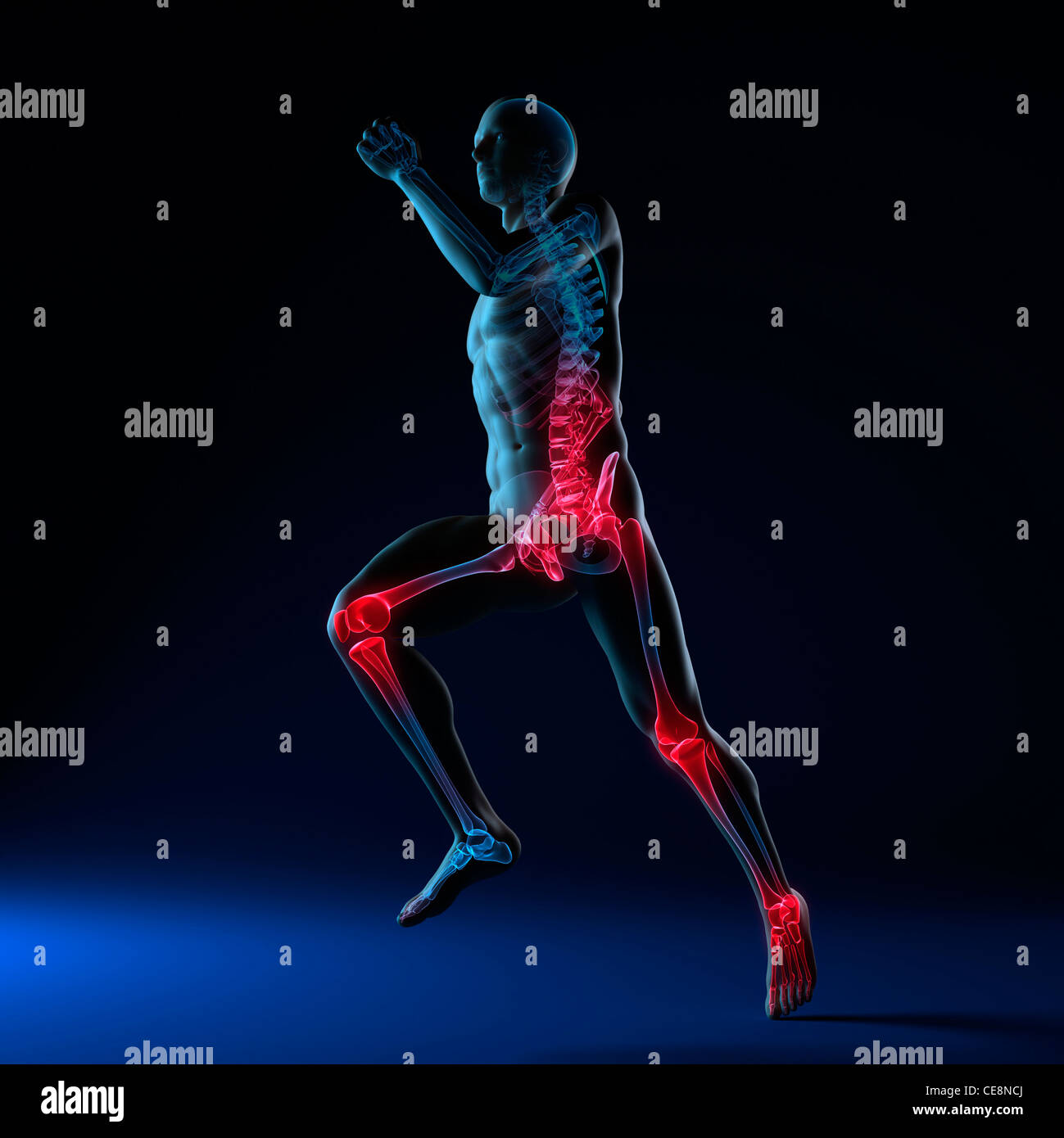 Running injuries, conceptual computer artwork Stock Photo - Alamy
