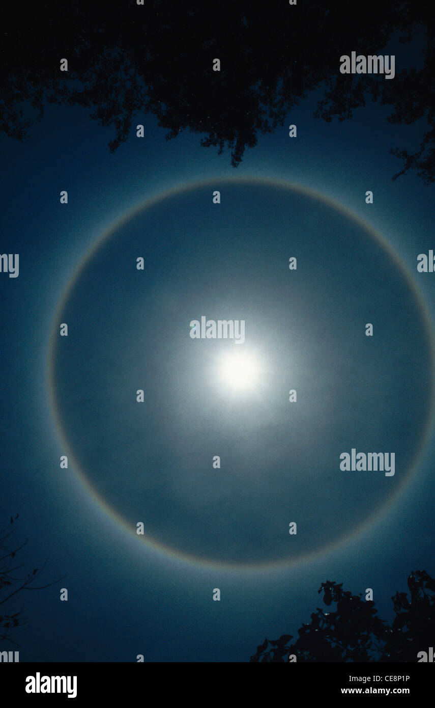 solar halo ; kanha national park ; madhya pradesh ; india ; asia Stock Photo