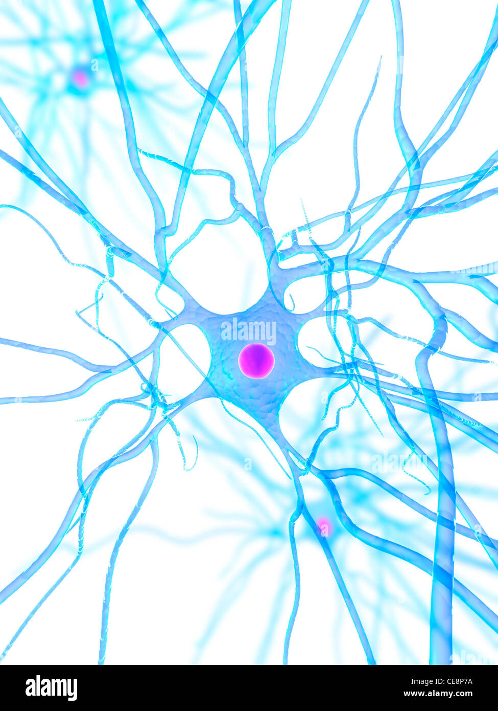 Nerve cell, computer artwork Stock Photo - Alamy
