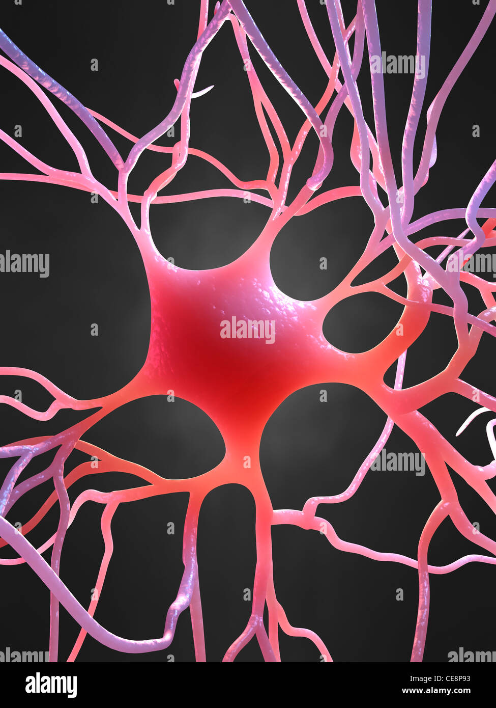 Nerve cell, computer artwork Stock Photo - Alamy
