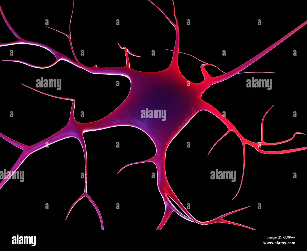 Nerve cell, computer artwork Stock Photo - Alamy