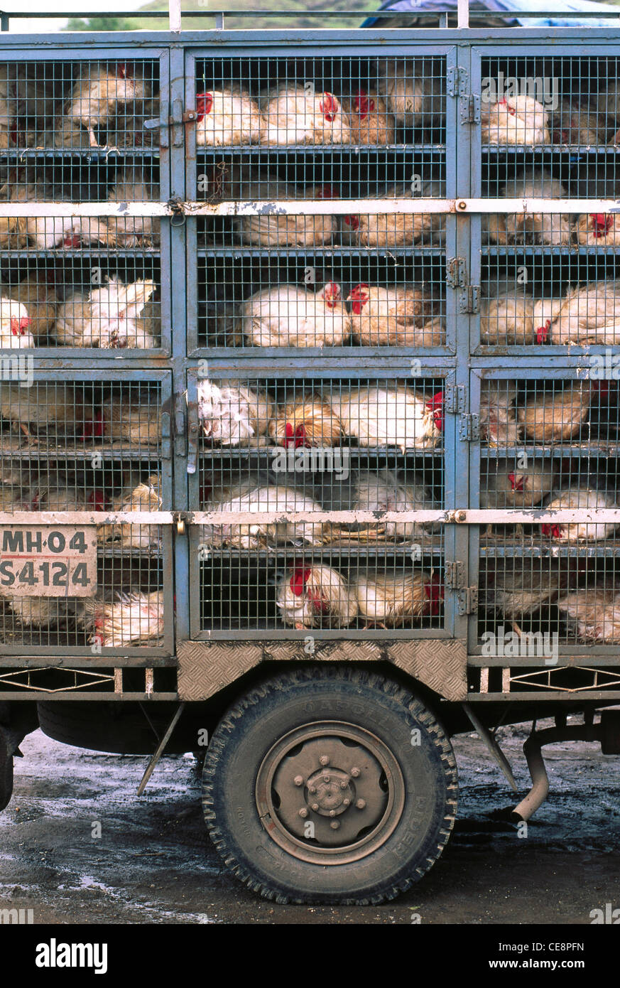 Broiler truck hires stock photography and images Alamy