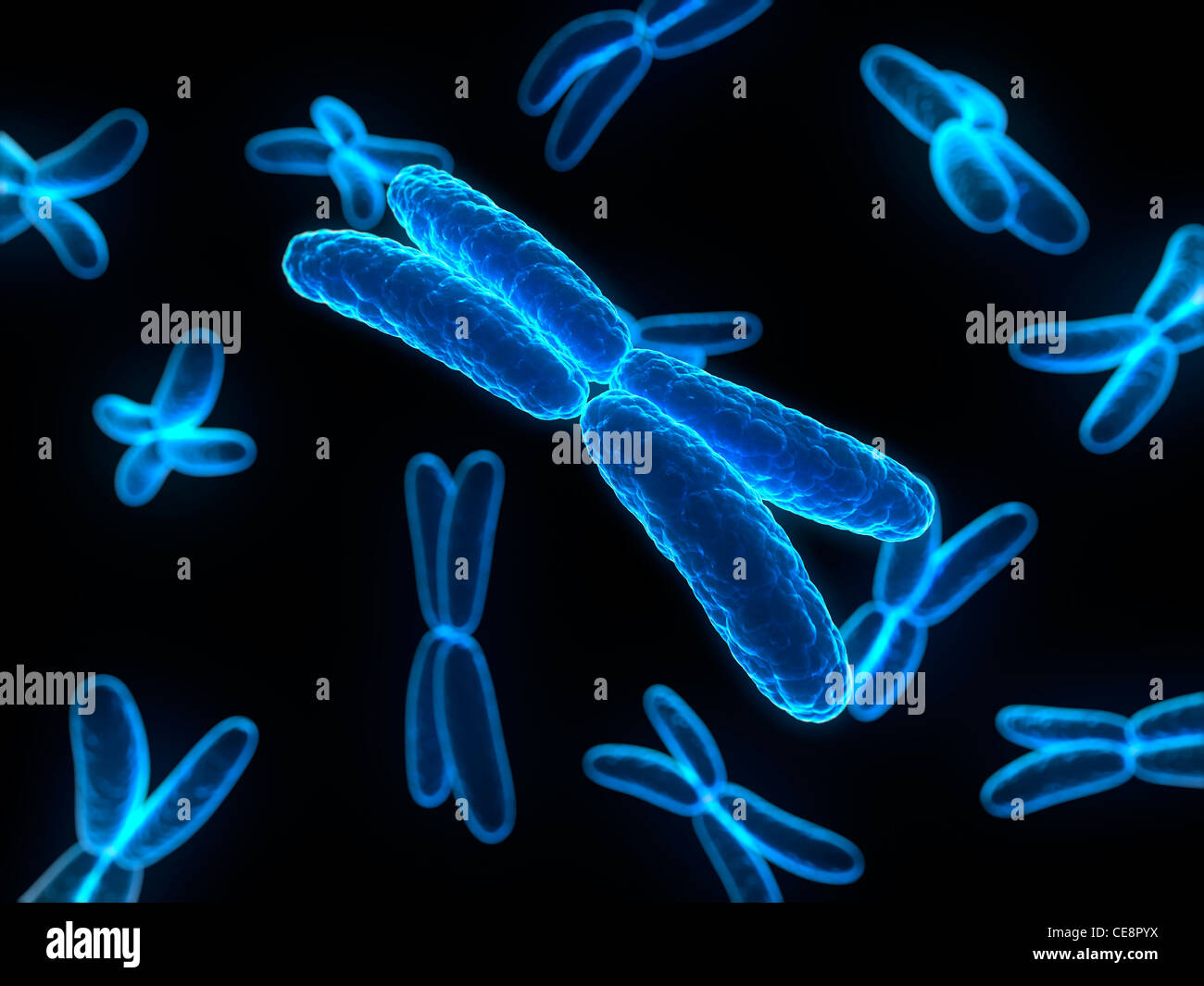 Хромосомы лучше видны. Хромосома. ДНК И хромосомы. Изображение хромосомы. Хромосомы картинки.