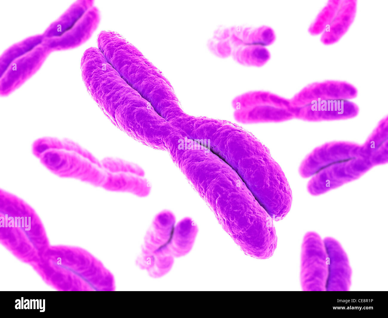 Chromosomes, computer artwork Stock Photo - Alamy