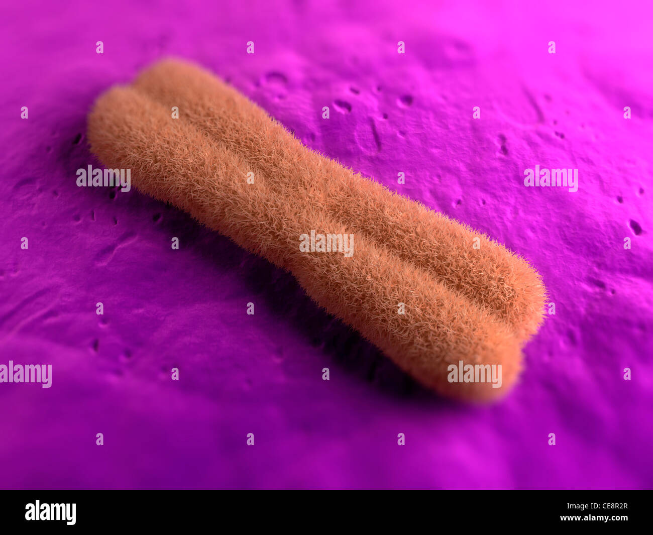 Chromosome, computer artwork Stock Photo - Alamy