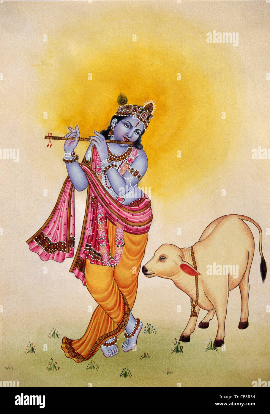 Lord Krishna playing musical instrument flute to cow   Miniature Painting on paper Stock Photo
