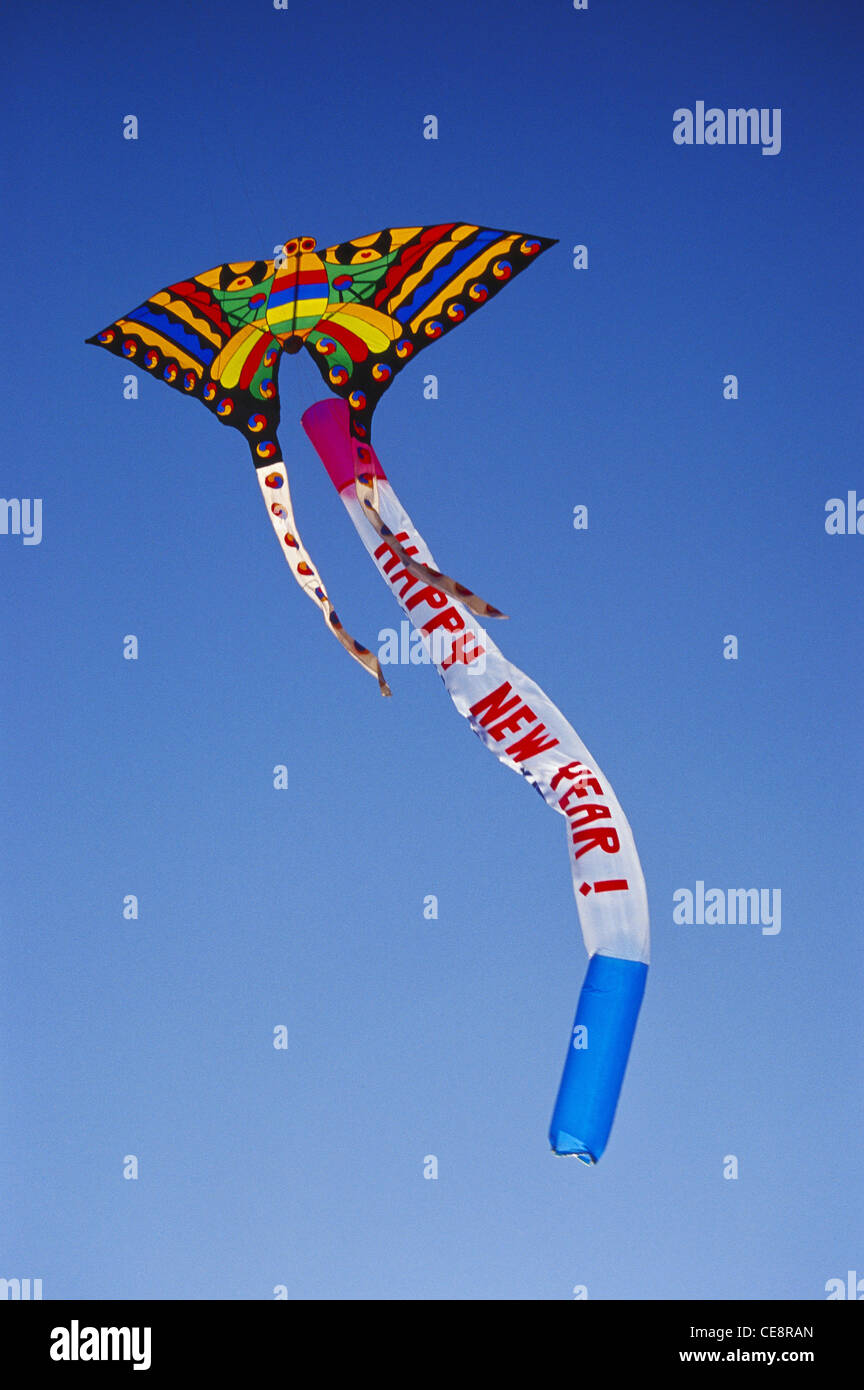 Kite Makara Sankranti Festival ; international kite festival ; gujarat