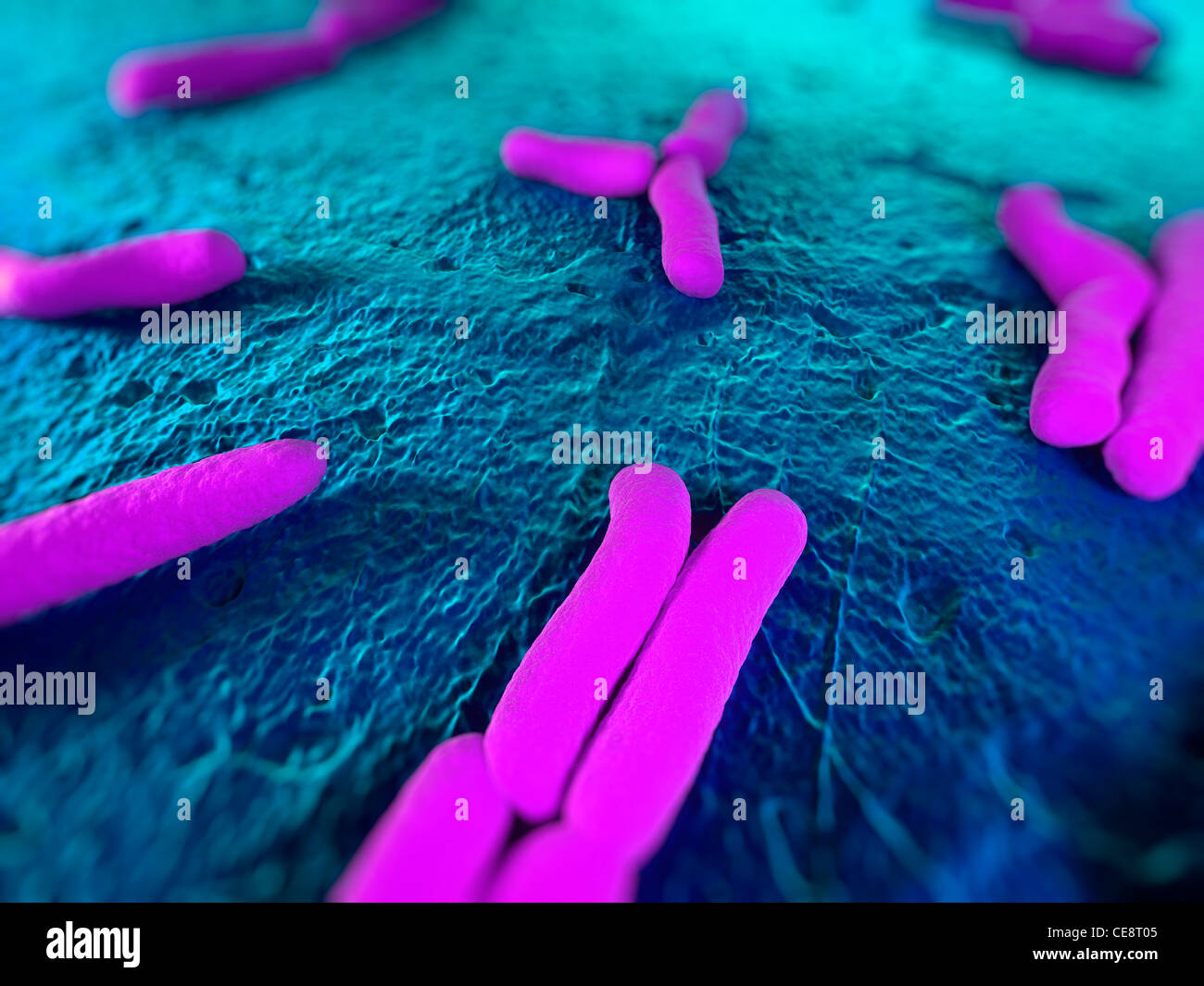 Bacteria, conceptual computer artwork Stock Photo - Alamy