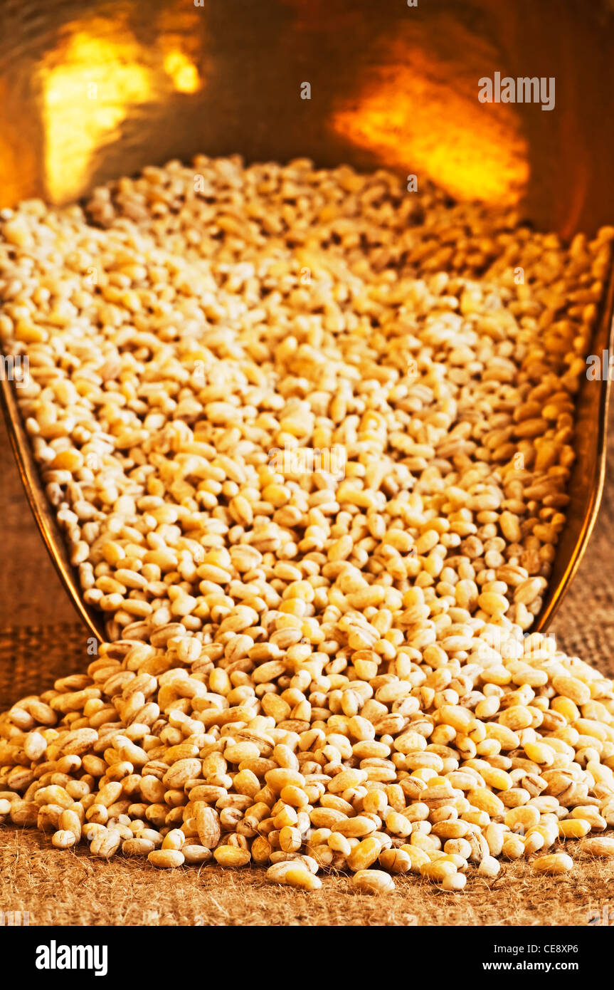 barley pearls Stock Photo