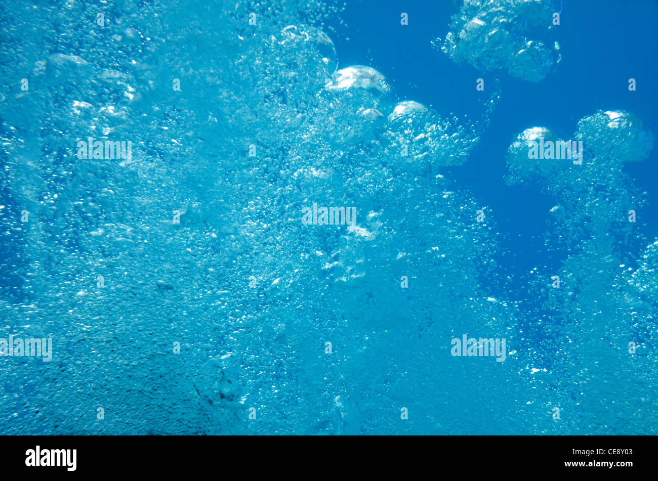 Bubbles rising-up to surface in swimming pool Stock Photo - Alamy