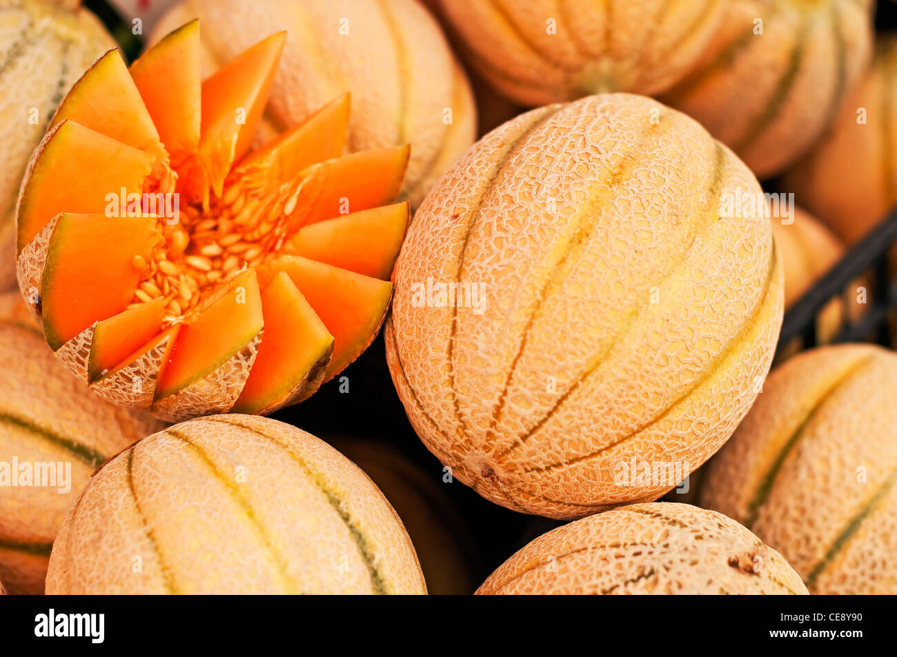 Melon art hi-res stock photography and images - Alamy