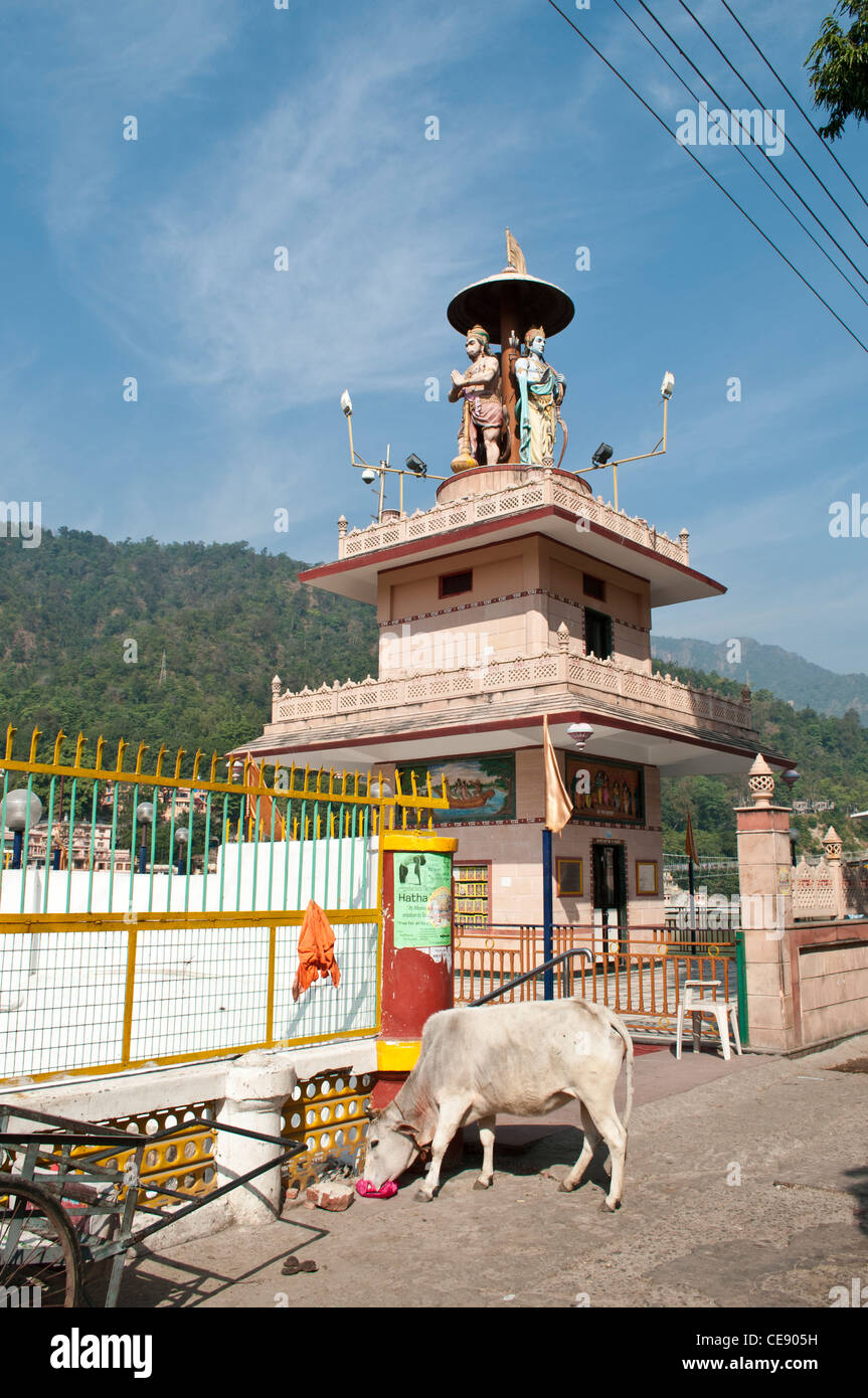 Ram Naam Stambh temple and cow, Swarg Ashram, Rishikesh, Uttarakhand, India Stock Photo