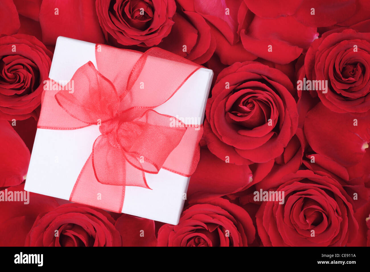 Valentines gift on rose background Stock Photo
