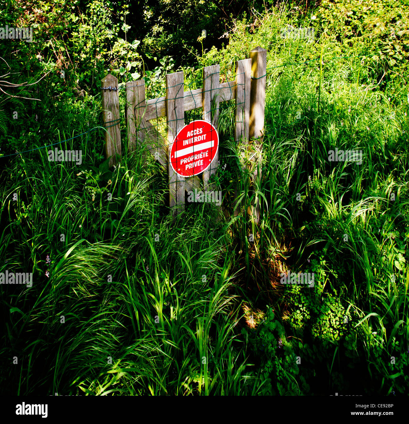 Overgrown No Entry, Private Property sign, Cancale, Brittany, , France, Europe Stock Photo