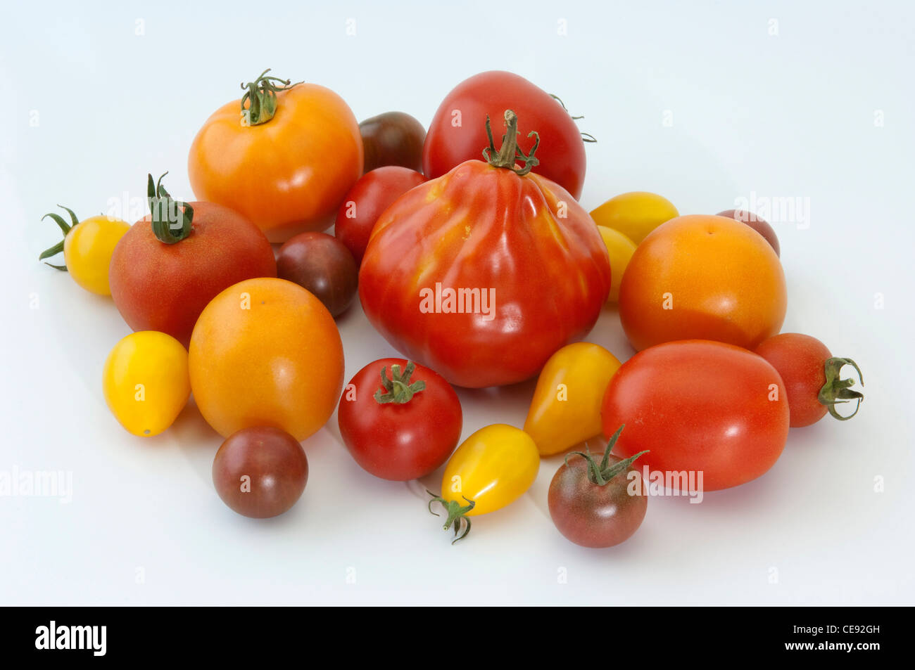 Tomato (Lycopersicon esculentum), fruit of different varieties. Studio picture against a white background. Stock Photo