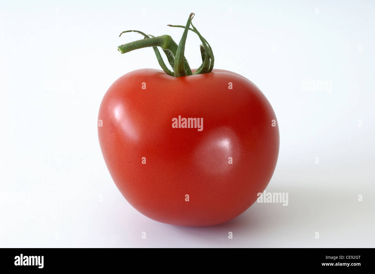 Tomato (Lycopersicon esculentum), ripe fruit. Studio picture against a white background. Stock Photo
