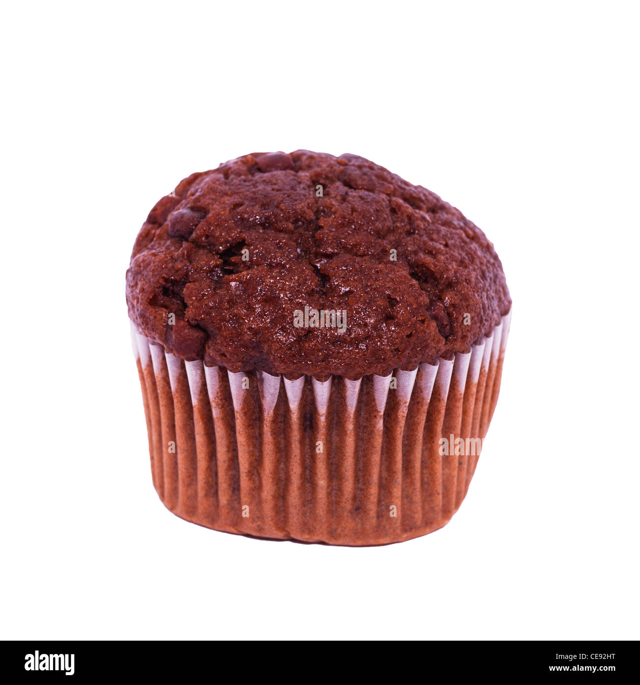 A double chocolate muffin cup cake on a white background Stock Photo