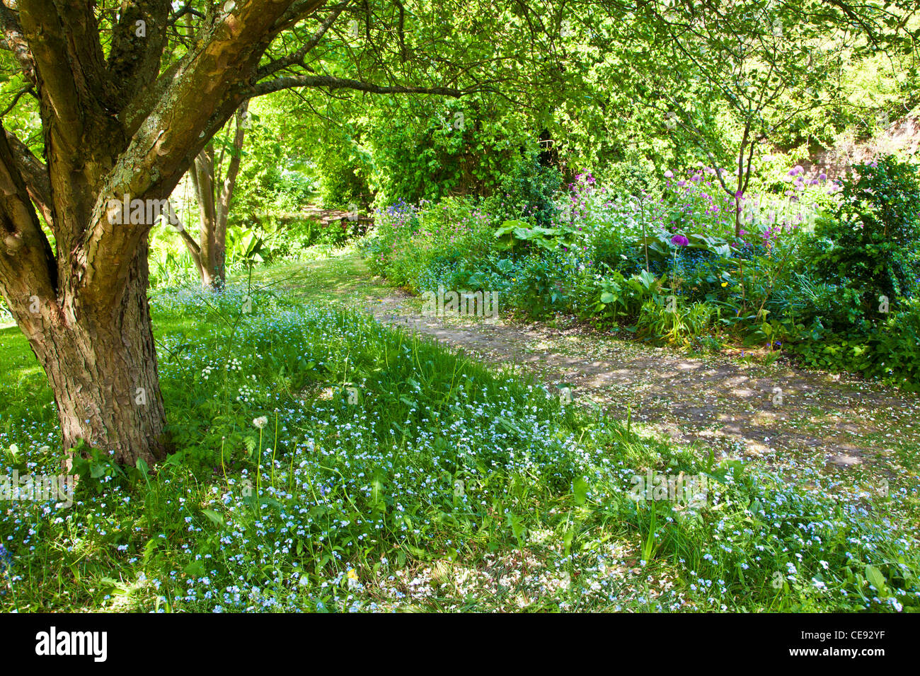 A garden path through dappled sunshine in an English country garden in early summer. Stock Photo