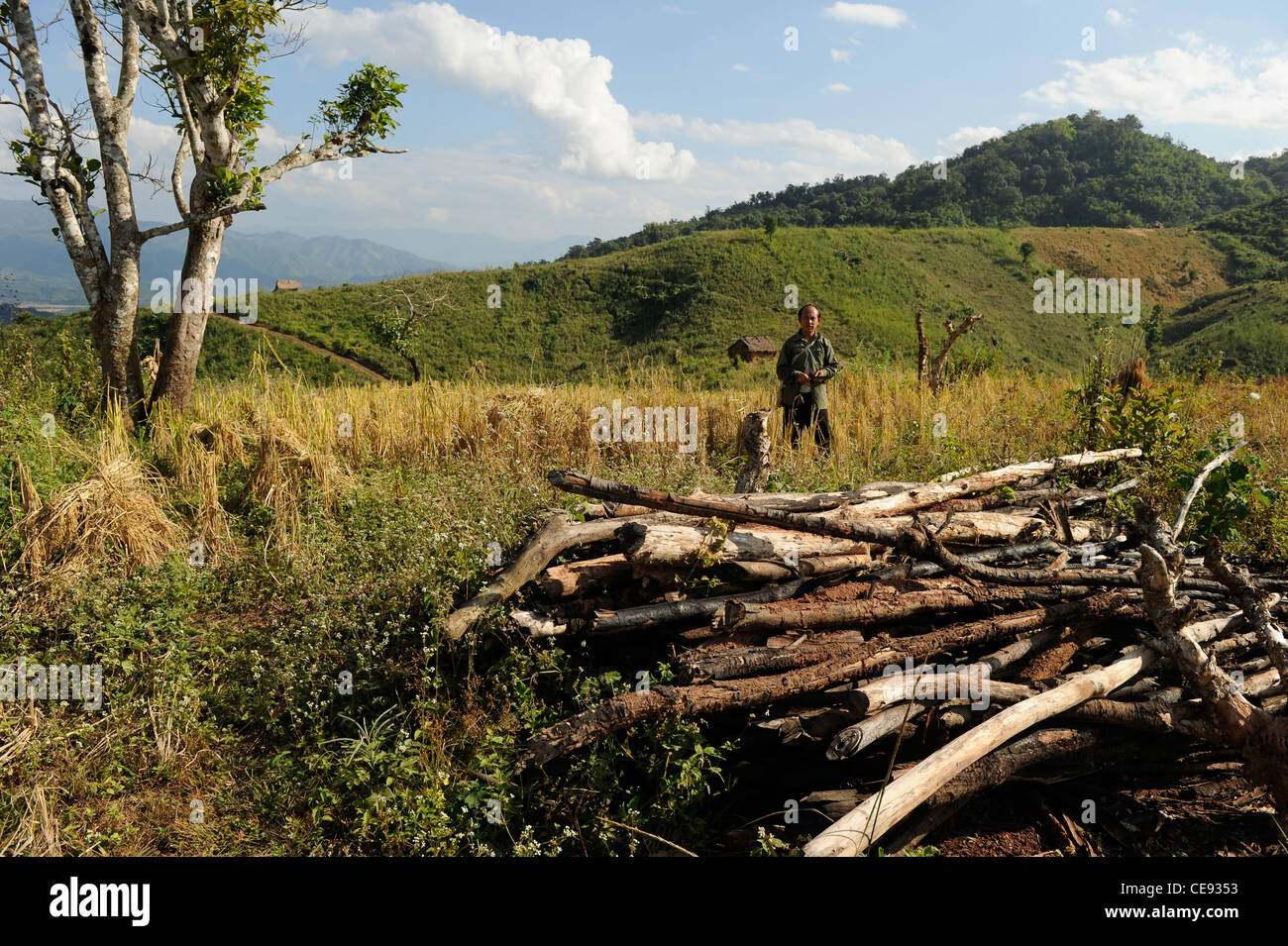Asia LAOS, province Oudomxay , village Houyta, rainforest in mountain region, shifting cultivation and illegal logging Stock Photo