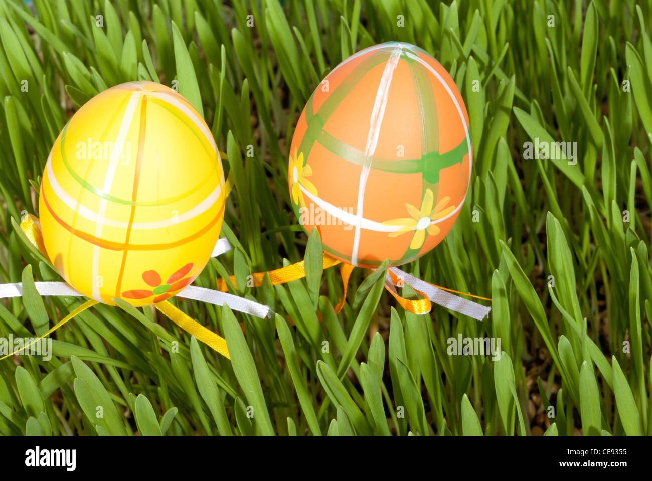 Easter eggs hidden in the green grass Stock Photo - Alamy