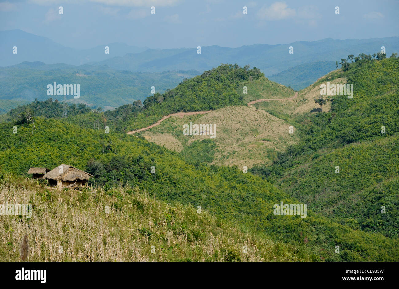 Asia LAOS, province Oudomxay , village Houyta, rainforest in mountain region, shifting cultivation and illegal logging Stock Photo